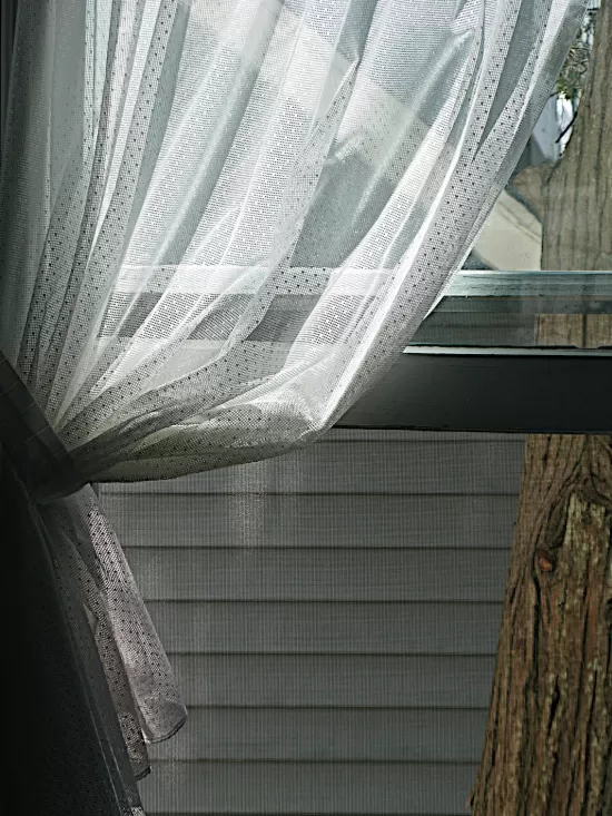 Open window with screen and gauzy curtain