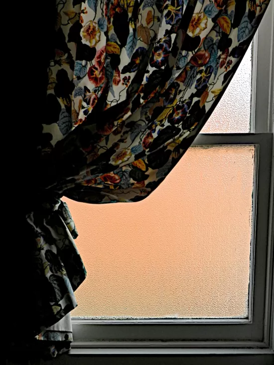 Window with pebbled privacy glass