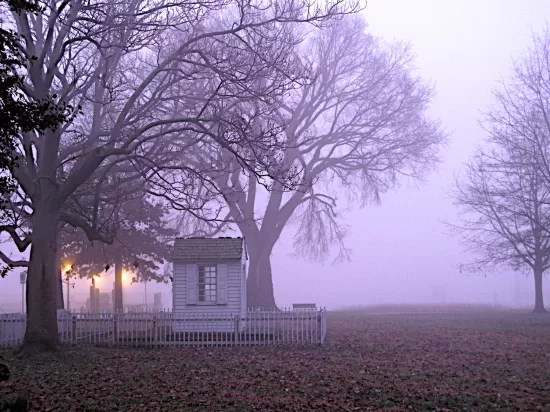 Battery Park in the fog