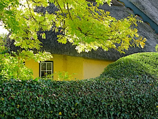 Thatched roof building seen through tree leaves