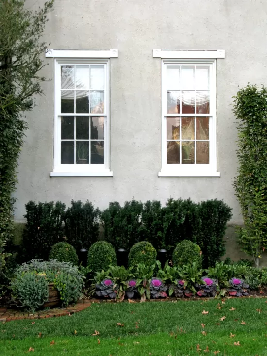 Pair of windows with hedges