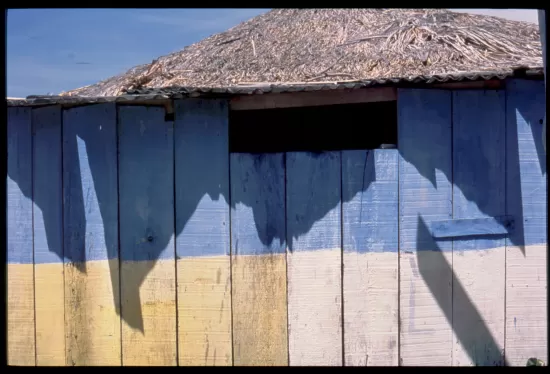 Shadows cast on painted wood wall