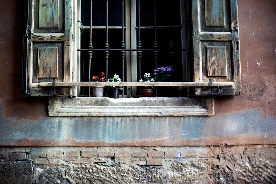 Window with shutters