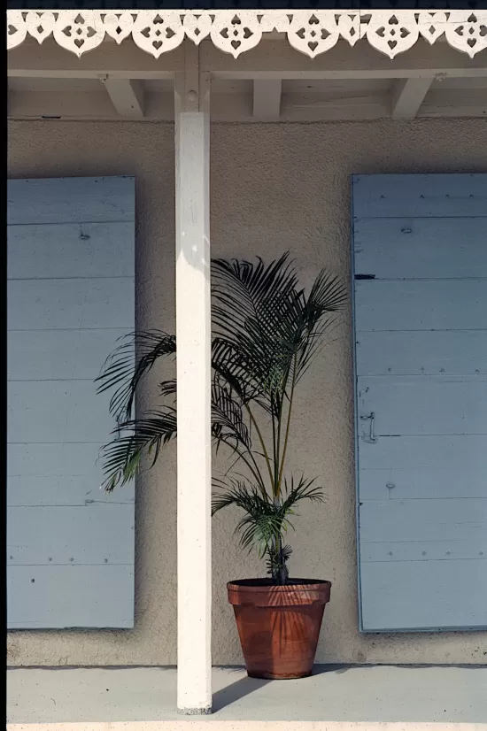 Front porch with potted plant